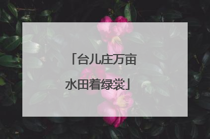 台儿庄万亩水田着绿裳