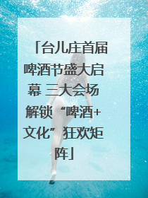 台儿庄首届啤酒节盛大启幕 三大会场解锁“啤酒+文化”狂欢矩阵