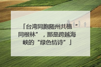 台湾同胞随州共植“同根林”，那是跨越海峡的“绿色情诗”