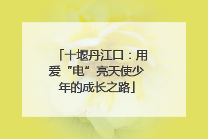 十堰丹江口：用爱“电”亮天使少年的成长之路