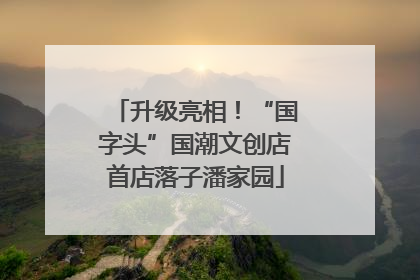 升级亮相！“国字头”国潮文创店首店落子潘家园