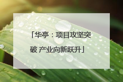 华亭：项目攻坚突破 产业向新跃升