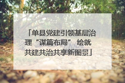 单县党建引领基层治理“谋篇布局” 绘就共建共治共享新图景