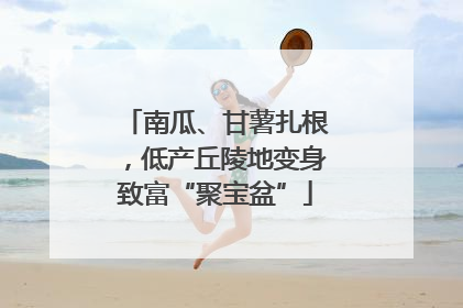 南瓜、甘薯扎根，低产丘陵地变身致富“聚宝盆”