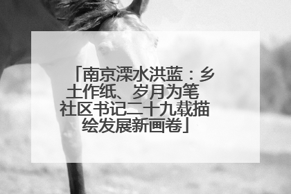 南京溧水洪蓝：乡土作纸、岁月为笔 社区书记二十九载描绘发展新画卷