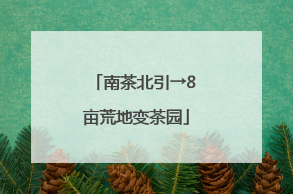 南茶北引→8亩荒地变茶园
