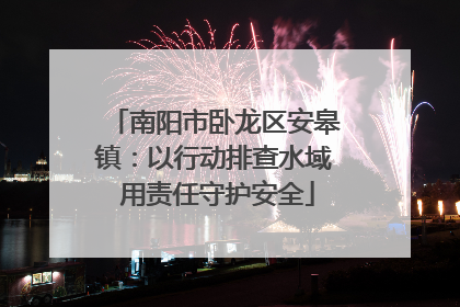 南阳市卧龙区安皋镇：以行动排查水域 用责任守护安全