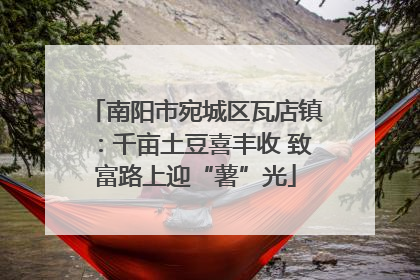 南阳市宛城区瓦店镇：千亩土豆喜丰收 致富路上迎“薯”光