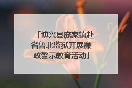 博兴县庞家镇赴省鲁北监狱开展廉政警示教育活动