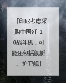 印尼考虑采购中国歼-10战斗机，可能还包括舰艇、护卫舰