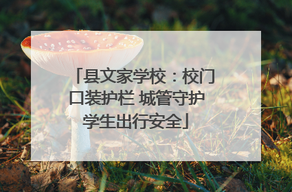 县文家学校：校门口装护栏 城管守护学生出行安全