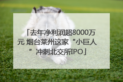 去年净利润超8000万元 烟台莱州这家“小巨人”冲刺北交所IPO