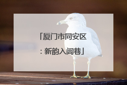 厦门市同安区：新韵入闾巷