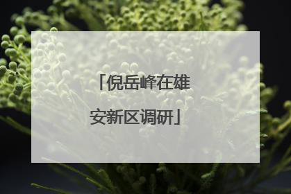 倪岳峰在雄安新区调研