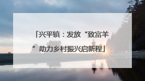 兴平镇：发放“致富羊”助力乡村振兴启新程