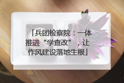 兵团检察院：一体推进“学查改”，让作风建设落地生根