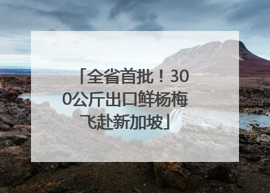 全省首批！300公斤出口鲜杨梅飞赴新加坡