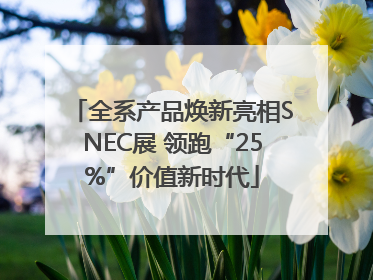 全系产品焕新亮相SNEC展 领跑“25%”价值新时代