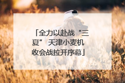 全力以赴战“三夏” 天津小麦机收会战拉开序幕