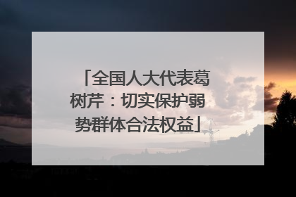 全国人大代表葛树芹：切实保护弱势群体合法权益