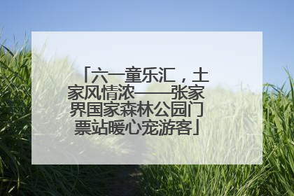 六一童乐汇，土家风情浓——张家界国家森林公园门票站暖心宠游客