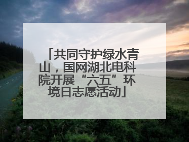 共同守护绿水青山，国网湖北电科院开展“六五”环境日志愿活动