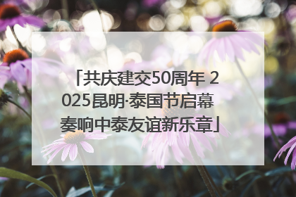共庆建交50周年 2025昆明·泰国节启幕 奏响中泰友谊新乐章