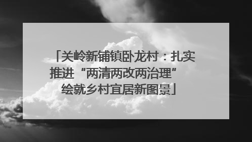 关岭新铺镇卧龙村：扎实推进“两清两改两治理” 绘就乡村宜居新图景