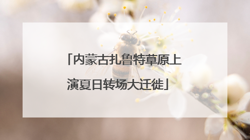 内蒙古扎鲁特草原上演夏日转场大迁徙