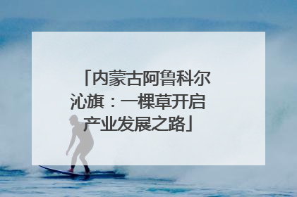 内蒙古阿鲁科尔沁旗：一棵草开启产业发展之路