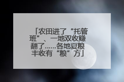 农田进了“托管班”、一地双收赚翻了……各地夏粮丰收有“粮”方
