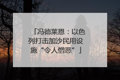 冯德莱恩：以色列打击加沙民用设施“令人憎恶”