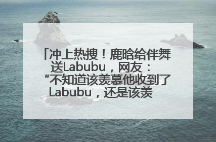 冲上热搜！鹿晗给伴舞送Labubu，网友：“不知道该羡慕他收到了Labubu，还是该羡慕鹿晗送他礼物”