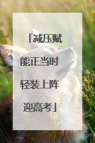 减压赋能正当时轻装上阵迎高考