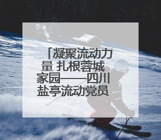 凝聚流动力量 扎根蓉城家园——四川盐亭流动党员成都党支部正式揭牌成立