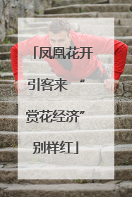 凤凰花开引客来 “赏花经济”别样红