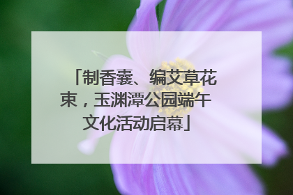 制香囊、编艾草花束，玉渊潭公园端午文化活动启幕