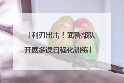 利刃出击！武警部队开展多课目强化训练