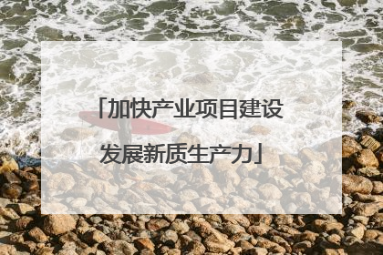 加快产业项目建设 发展新质生产力