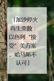 加沙停火再生变数：以色列“接受”美方案、哈马斯不认可