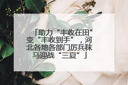 助力“丰收在田”变“丰收到手”，河北各地各部门厉兵秣马迎战“三夏”