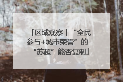 区域观察丨“全民参与+城市荣誉”的“苏超”能否复制
