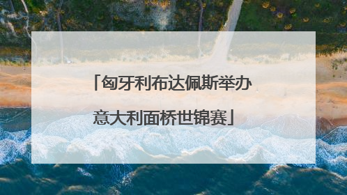 匈牙利布达佩斯举办意大利面桥世锦赛
