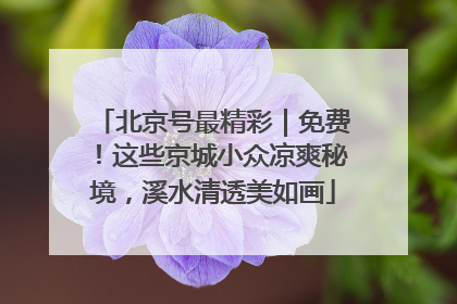 北京号最精彩｜免费！这些京城小众凉爽秘境，溪水清透美如画