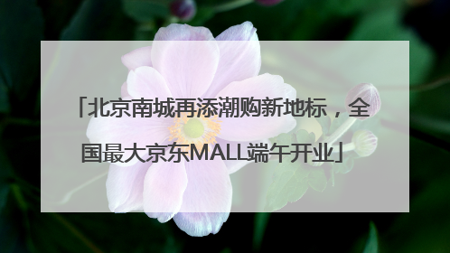 北京南城再添潮购新地标，全国最大京东MALL端午开业