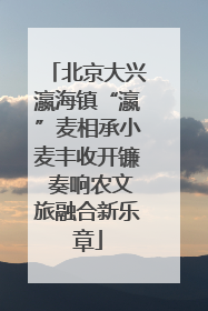 北京大兴瀛海镇“瀛”麦相承小麦丰收开镰 奏响农文旅融合新乐章