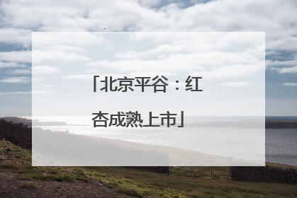 北京平谷：红杏成熟上市