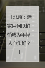北京：潘家园何以悄悄成为年轻人心头好？
