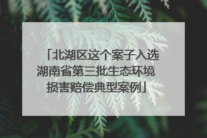北湖区这个案子入选湖南省第三批生态环境损害赔偿典型案例