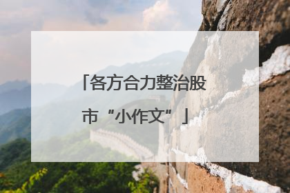 各方合力整治股市“小作文”